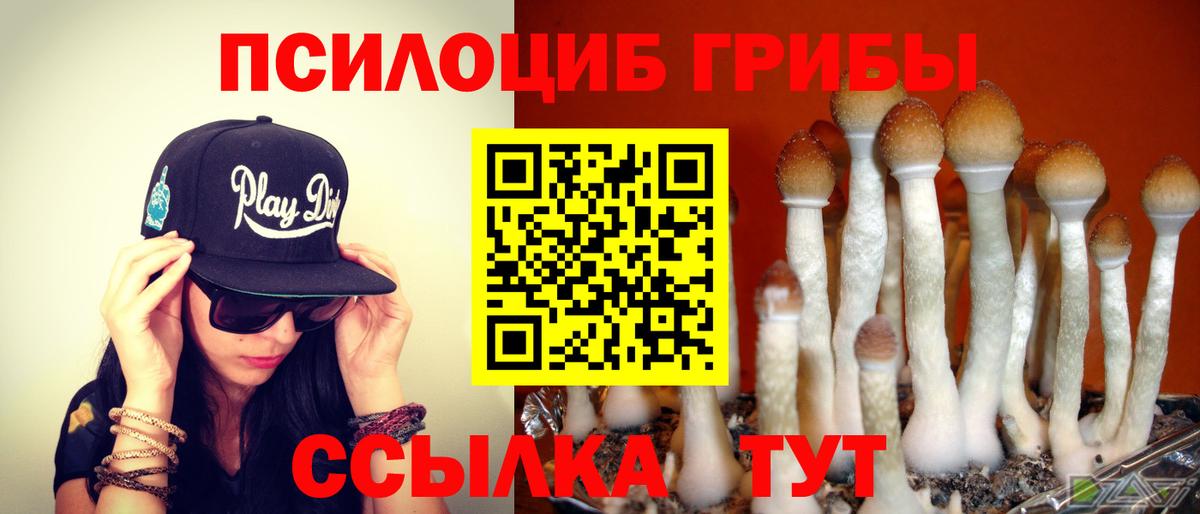 Псилоцибиновые грибы ЛСД Лабинск